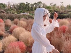-映月湖中央公园