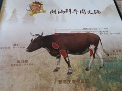 -潮汕牛肉火锅(铁西店)