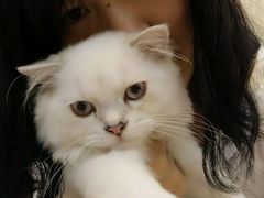 -芭比堂动物医院·24小时·眼科中心(深圳中心)