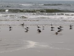 -北戴河东海水浴场