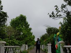 -百万葵园