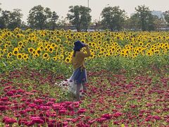 -映月湖中央公园