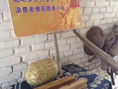 -寂照庵