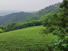 -敬亭山风景名胜区