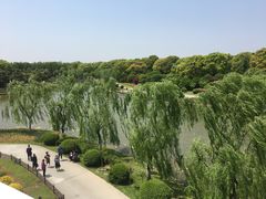 -上海鲜花港