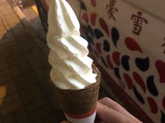 -富豪雪糕车流动点(尖沙咀店)
