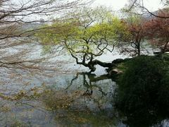 -西湖外事游船(花港观鱼码头)