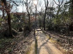 -九曜山