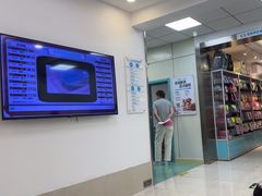 -北京观赏动物医院·24小时大型综合·猫专科·异宠专科