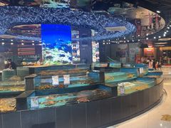 -新阿布海鲜大酒店