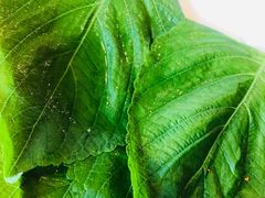 -炭之家烤肉(世茂店)