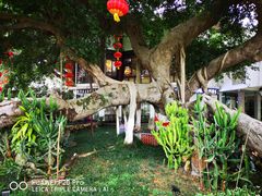 -厦门悦华酒店