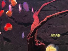 -台州海洋世界