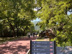 -国家植物园南园