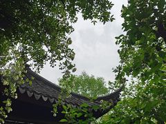 -拙政园