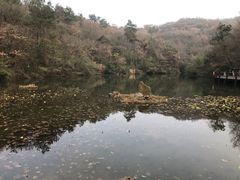 景点-天目湖山水园