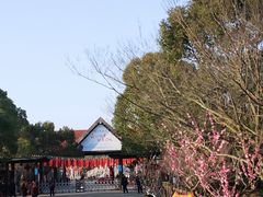 -上海海湾国家森林公园