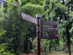 -昆明植物园
