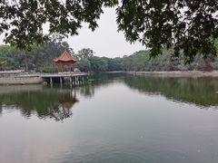 -广州莲花山旅游区