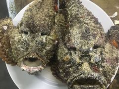 石头鱼-海盗餐厅