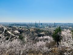 -白水寺森林公园