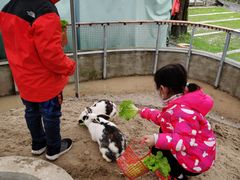 -前小桔亲子创意农场·草莓采摘·露营烧烤