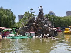 -团结湖公园