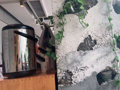 -农畉LONFOOD(福田星河COCOPark店)