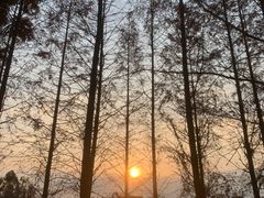 -白鹭湾湿地公园