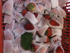 -双福水果批发市场