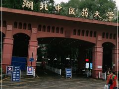 -湖北中医药大学(昙华林校区)