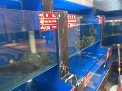 水产区-金蝉食府(维吉奥广场店)