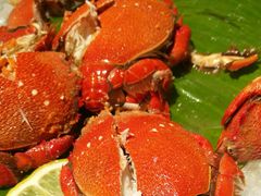 -海口绿发希尔顿酒店-田园汇自助餐·三文鱼·海鲜