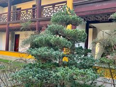 -重元寺香积厨素斋馆