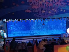 -烟台海昌鲸鲨海洋公园