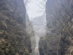 -野三坡百里峡景区