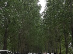 -天津武清北运河郊野公园房车露营地