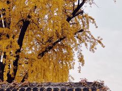 -无锡惠山寺