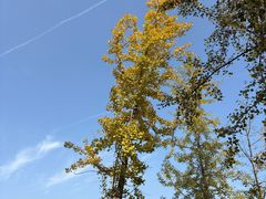 -汉长安城未央宫国家考古遗址公园