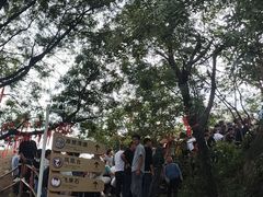 -嵖岈山风景区