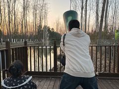 -合肥滨湖国家森林公园