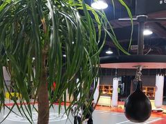 -格斗兄弟搏击健身训练馆(望京店)