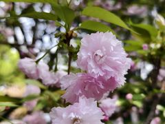 -浙江西子宾馆·牡丹厅