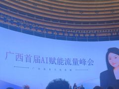 -南宁国际会展中心(会展东博文化旅游区)
