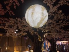 -蓝鲸湾汤泉(包河店)