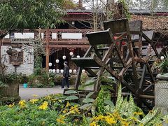 -青城甲(青城山店)