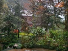 -十八棵（老龙井）御茶园(老龙井店)