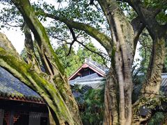 -成都武侯祠博物馆