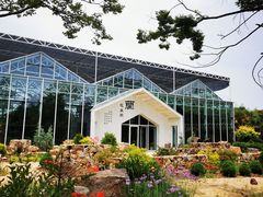 -东平国家森林公园
