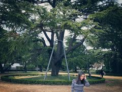 -南通博物苑-崇川人民公园